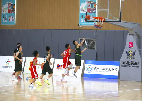 衡水新闻网