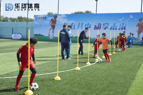 时间会告诉你答案,训练营期末测试喜报不断
