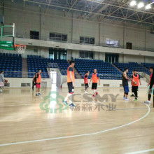 体育 连接世界的桥梁与人类精神的象征