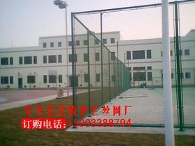 体育 超越竞技的精神家园